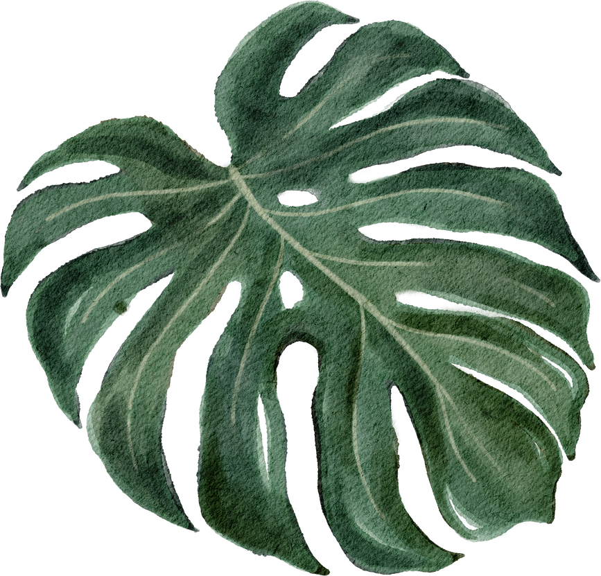 Tropical Leaves Element