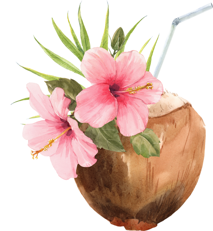 Coconut drink illustration