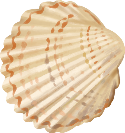 Sea Shell